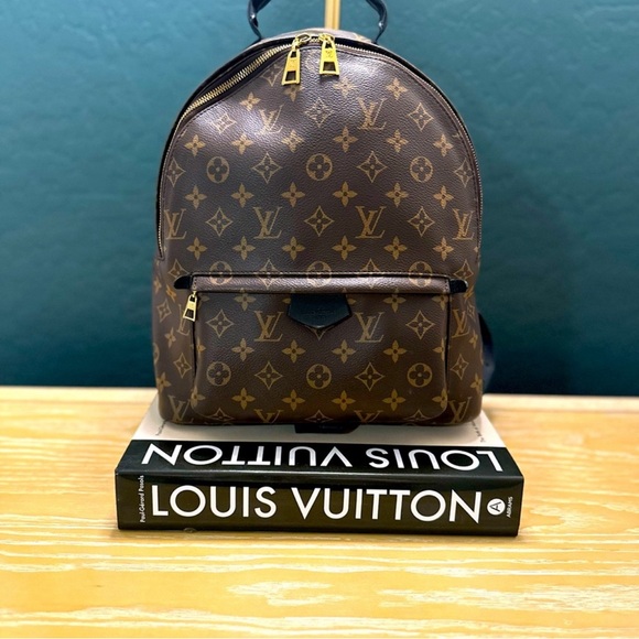 Louis Vuitton Handbags - Louis Vuitton Palm Springs MM